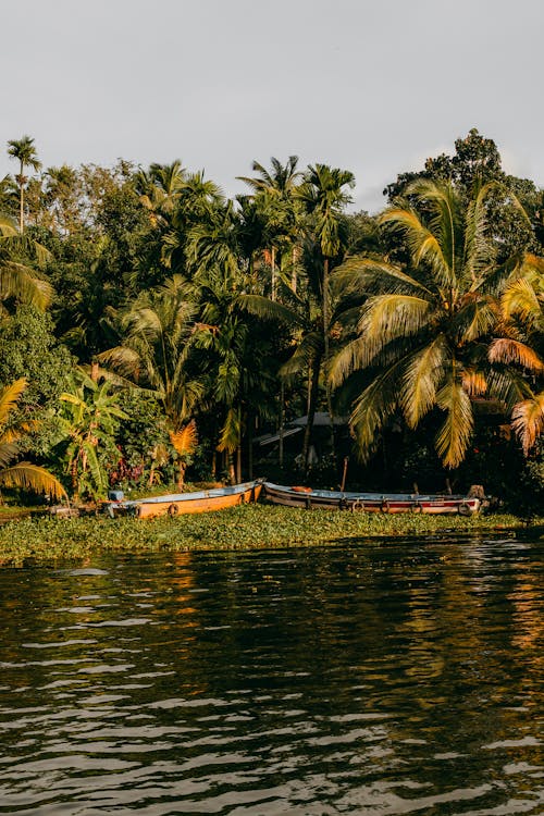 Diplomado en alimentación y masaje Ayurveda (Varkala, India)