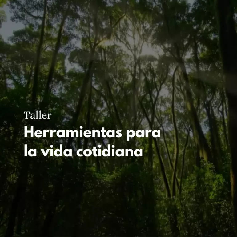 Herramientas para la vida cotidiana