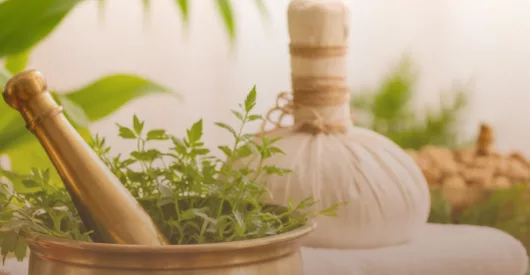 Formación Terapeuta Integral de Ayurveda (Online, España/India)